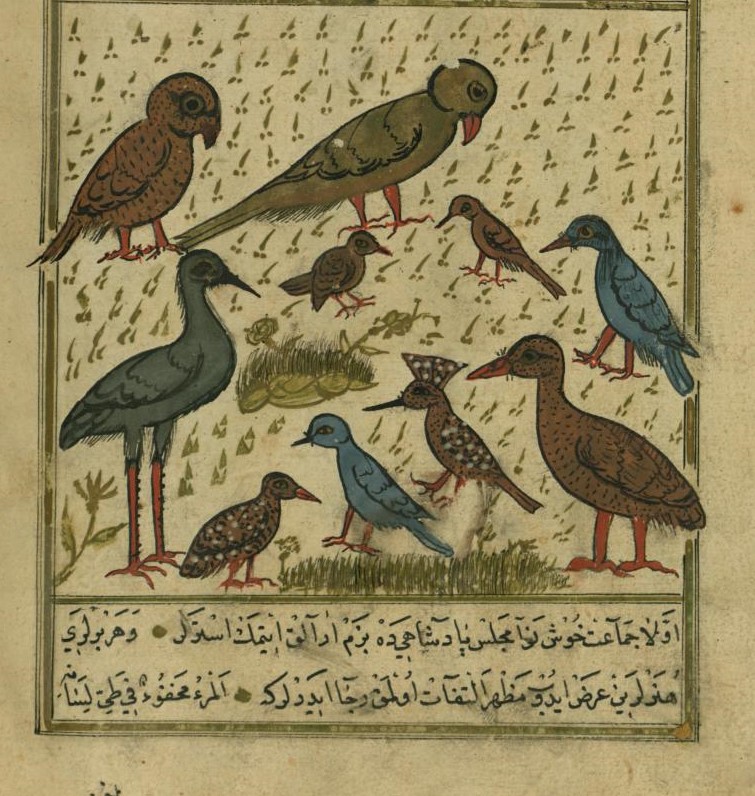 Syair Sufisme Musyawarah Burung karya Fariduddin Attar