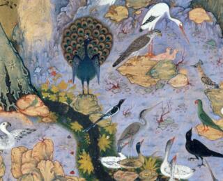 The Conference of the Birds, Illustration, MET