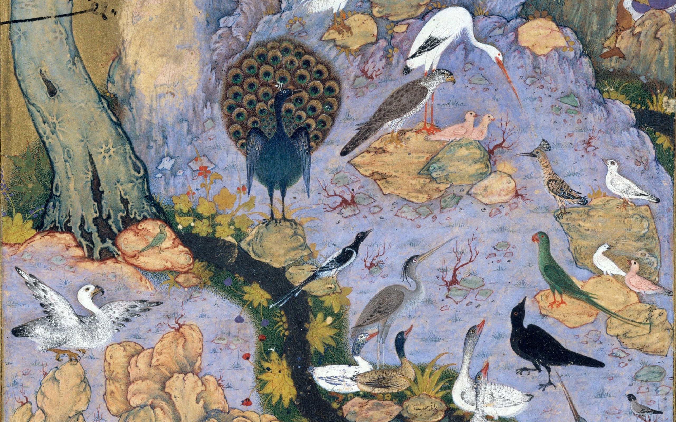 The Conference of the Birds, Illustration, MET